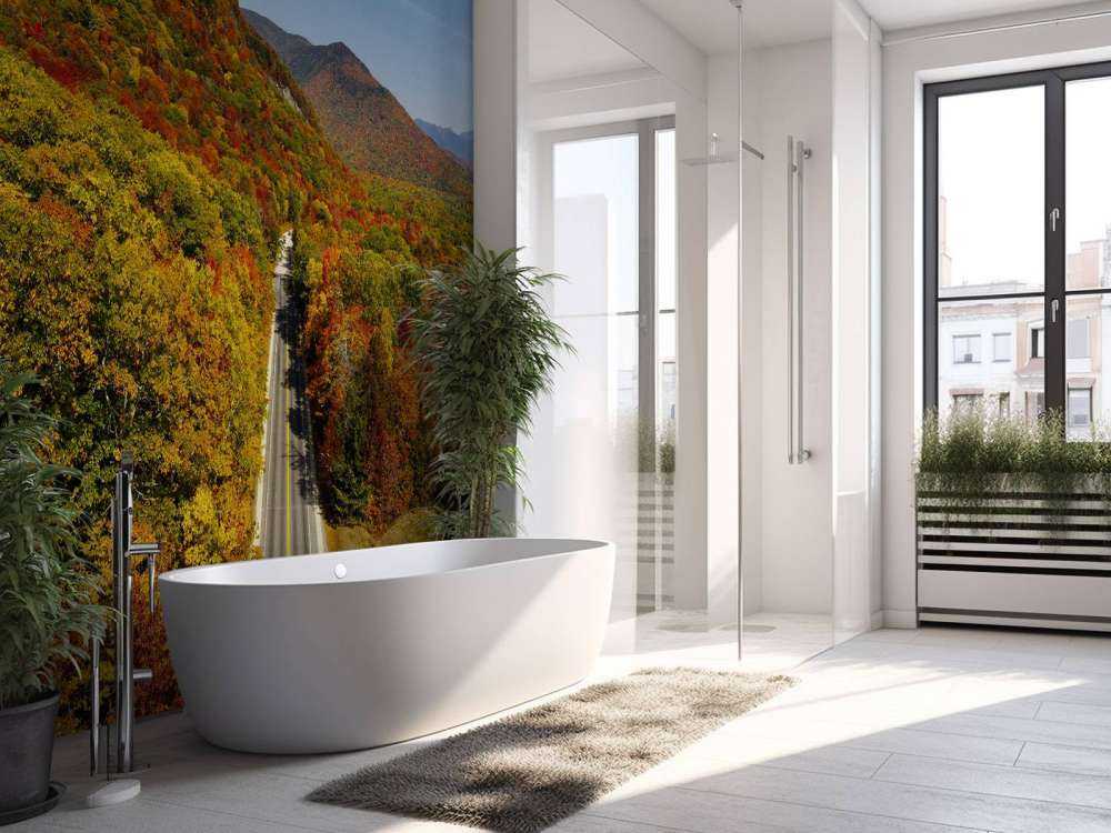 Veien gjennom høstlandskapet