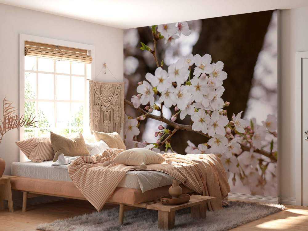Hvite blomster