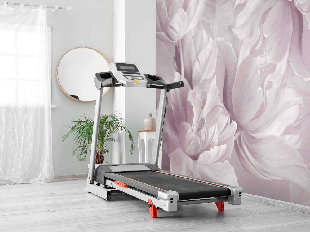 Store tulipaner myke