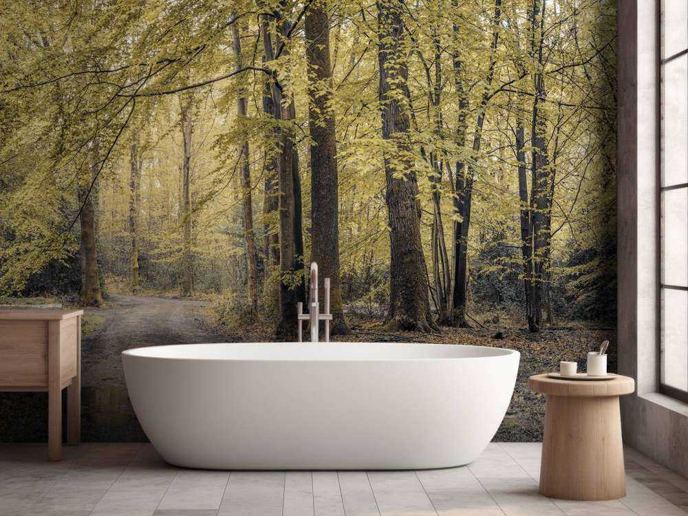 Sti gjennom den grønne skogen