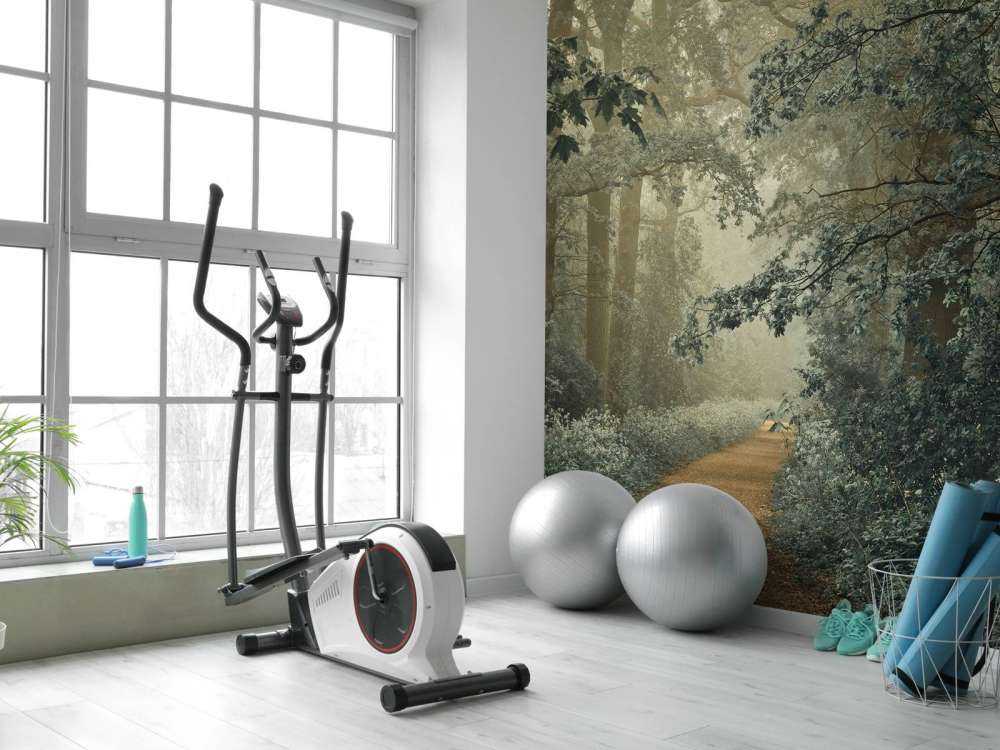 gjennom skog med tåke