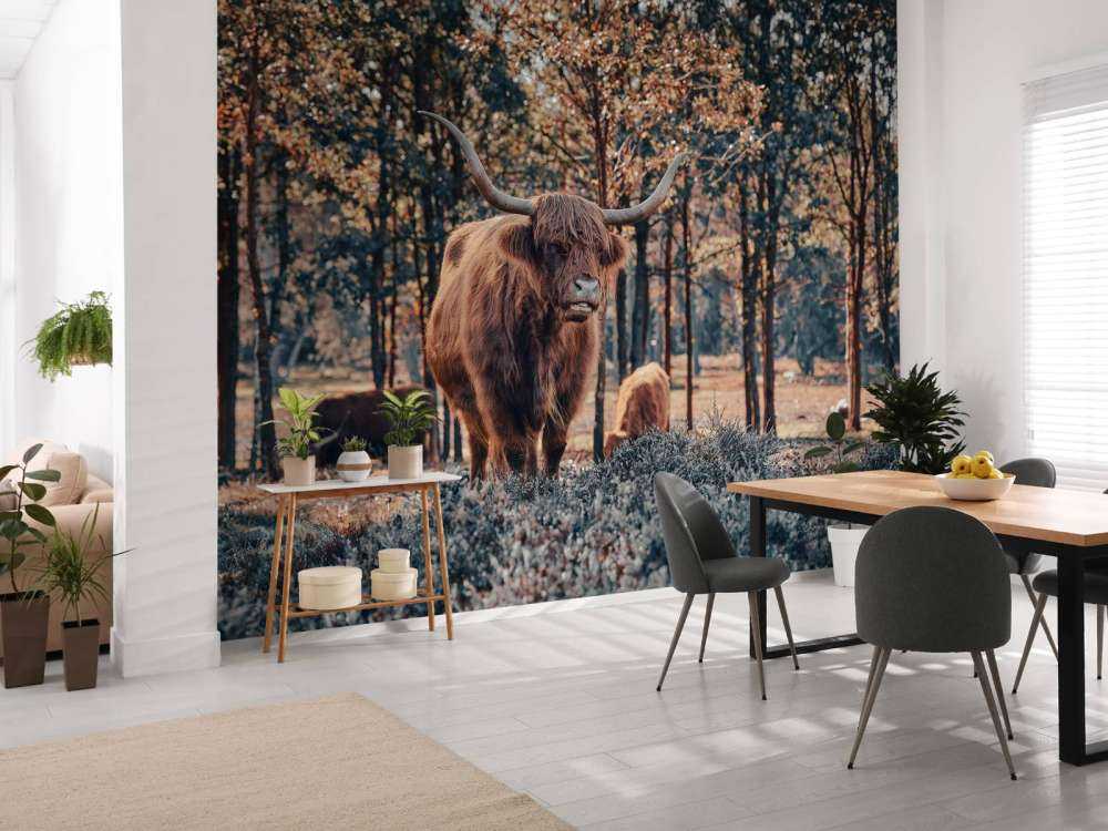 Skotsk høylander i utkanten av skogen