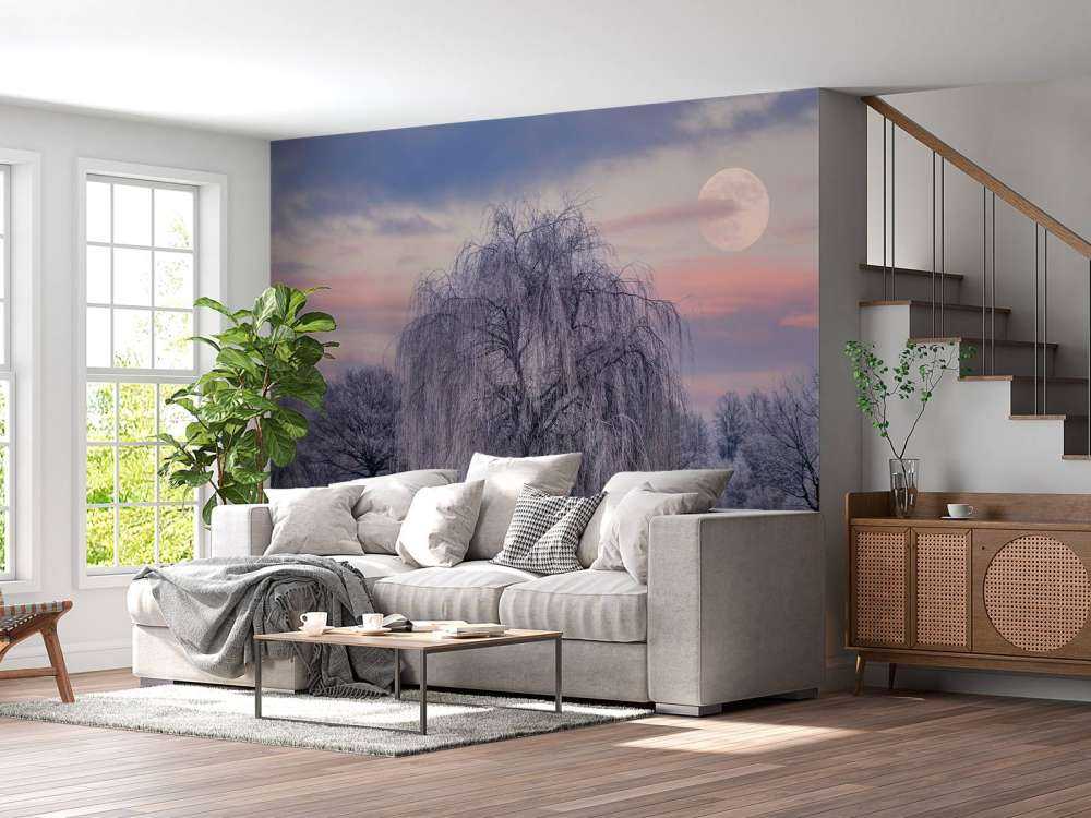 Tre dekket med frost