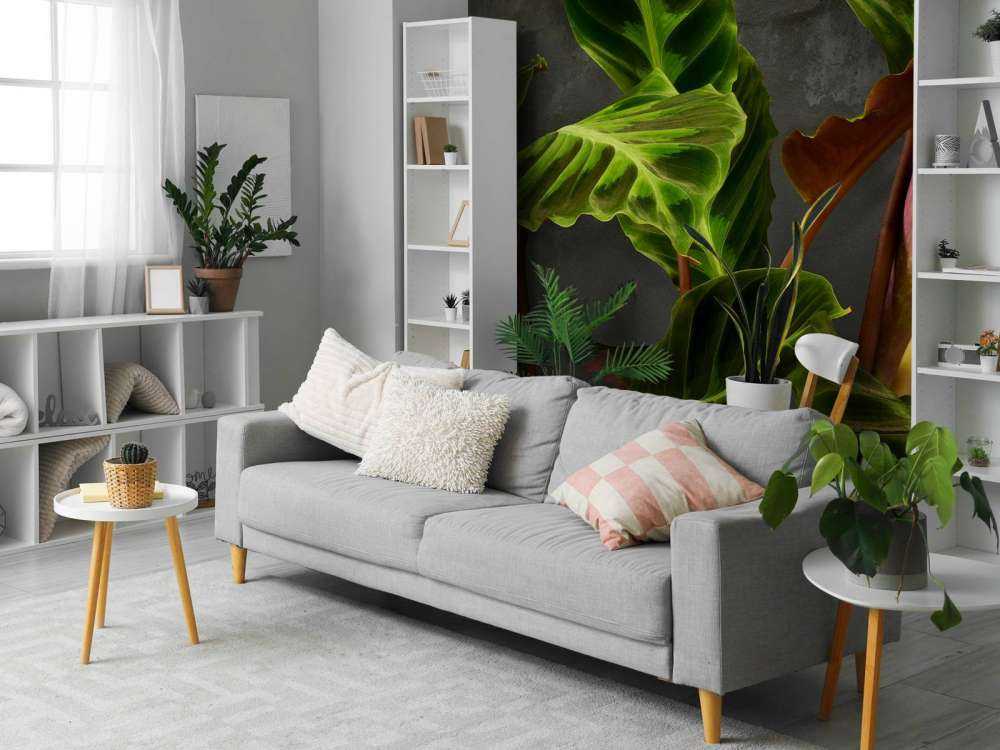 Plante med vakre grønne blader