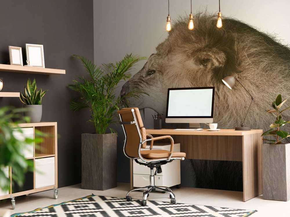 Brølende løve offwhite