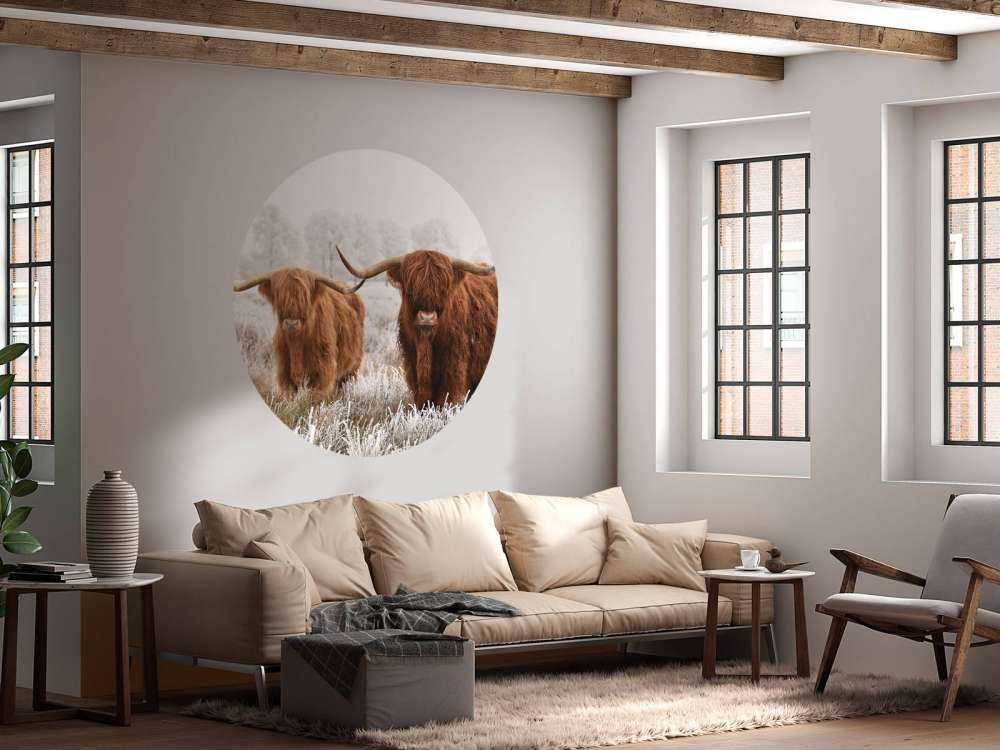 Vinter Høylandskveg