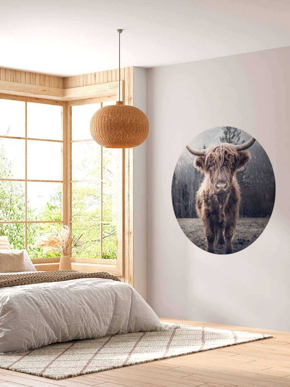 Skotsk hoglandare vid skogen