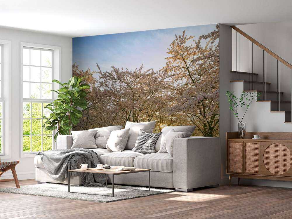 blommande blomningsträd