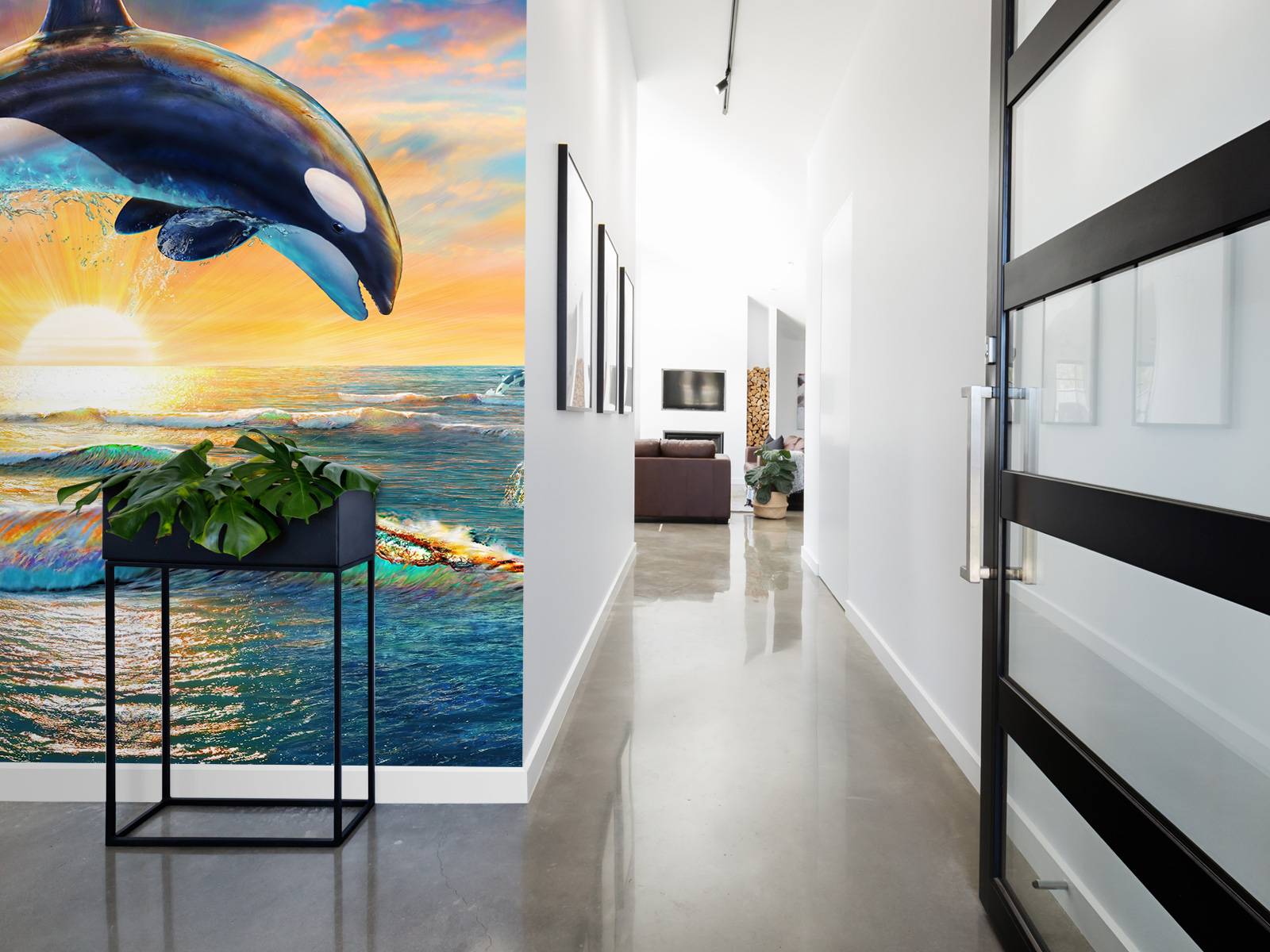 Orca Dawn