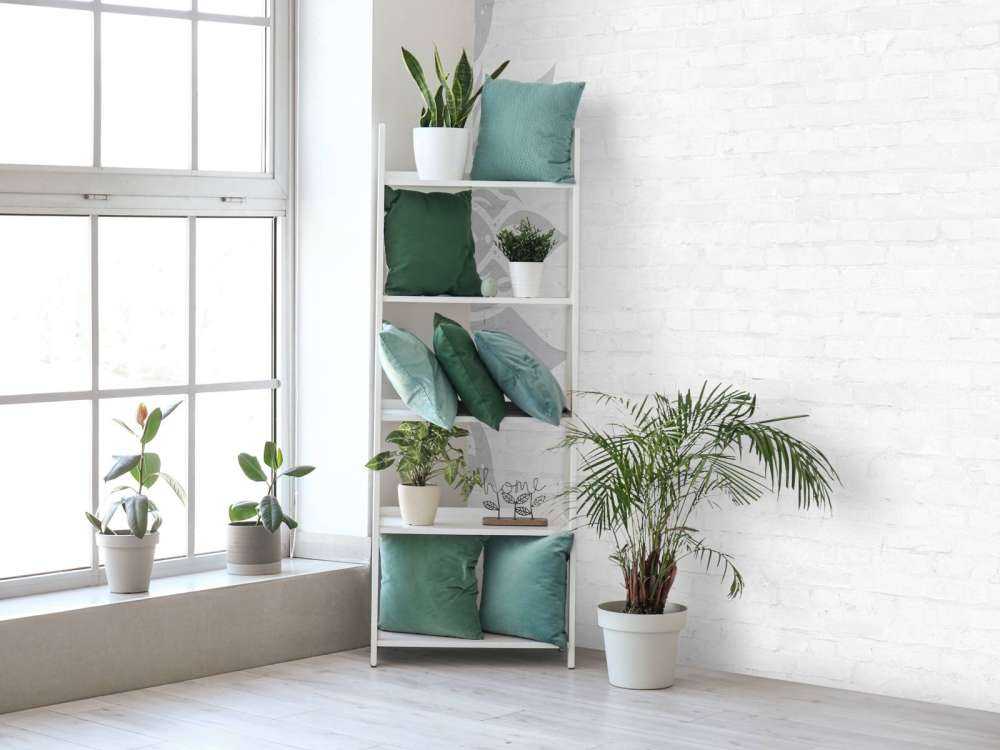 Grå vit mandala blomning