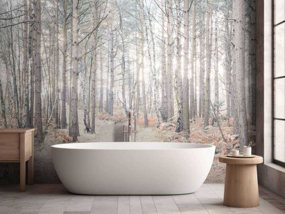 Sandväg genom skogen