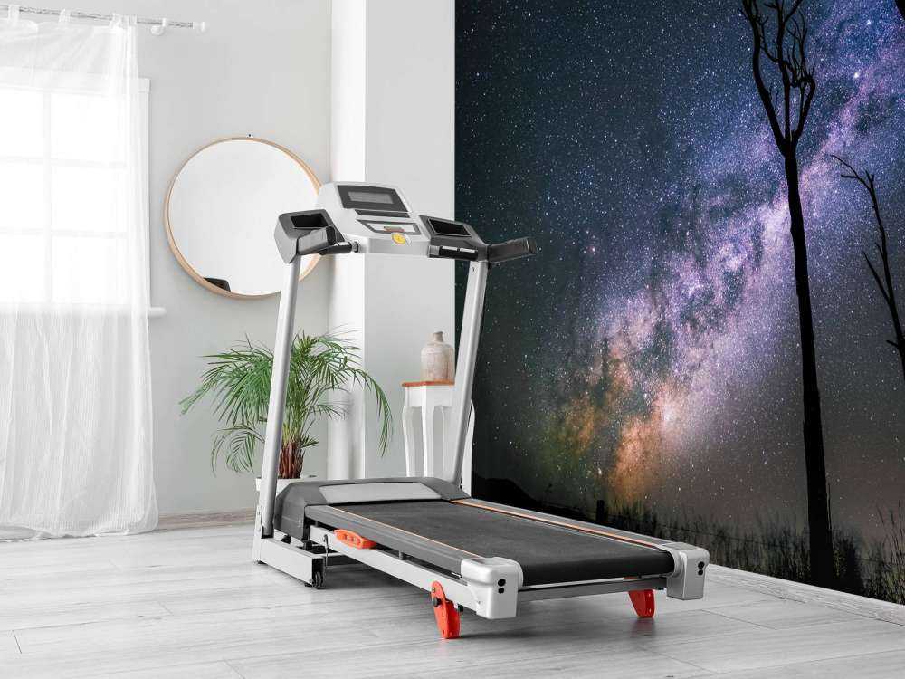 Stjärnor mellan träden