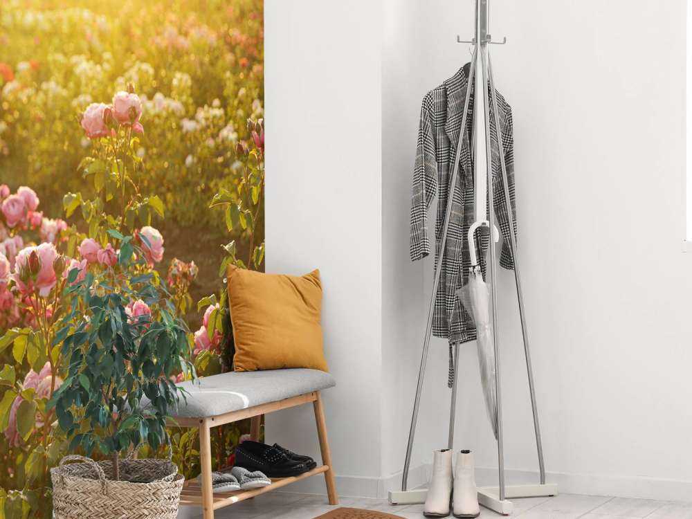 Fält fullt av rosor