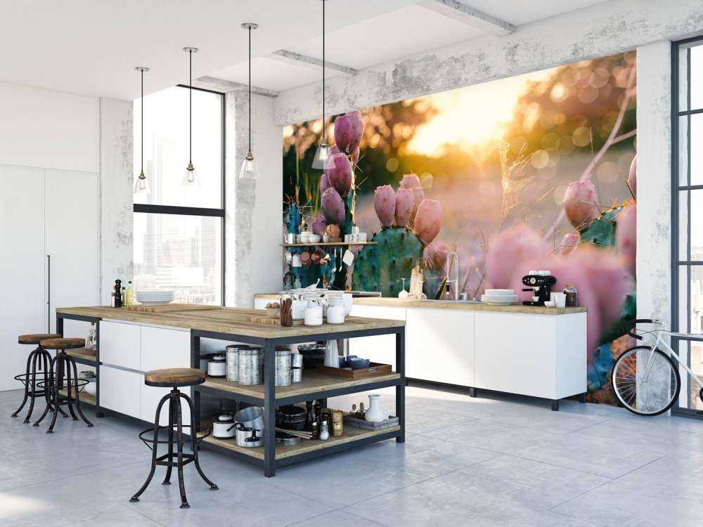 Kaktus med blommor