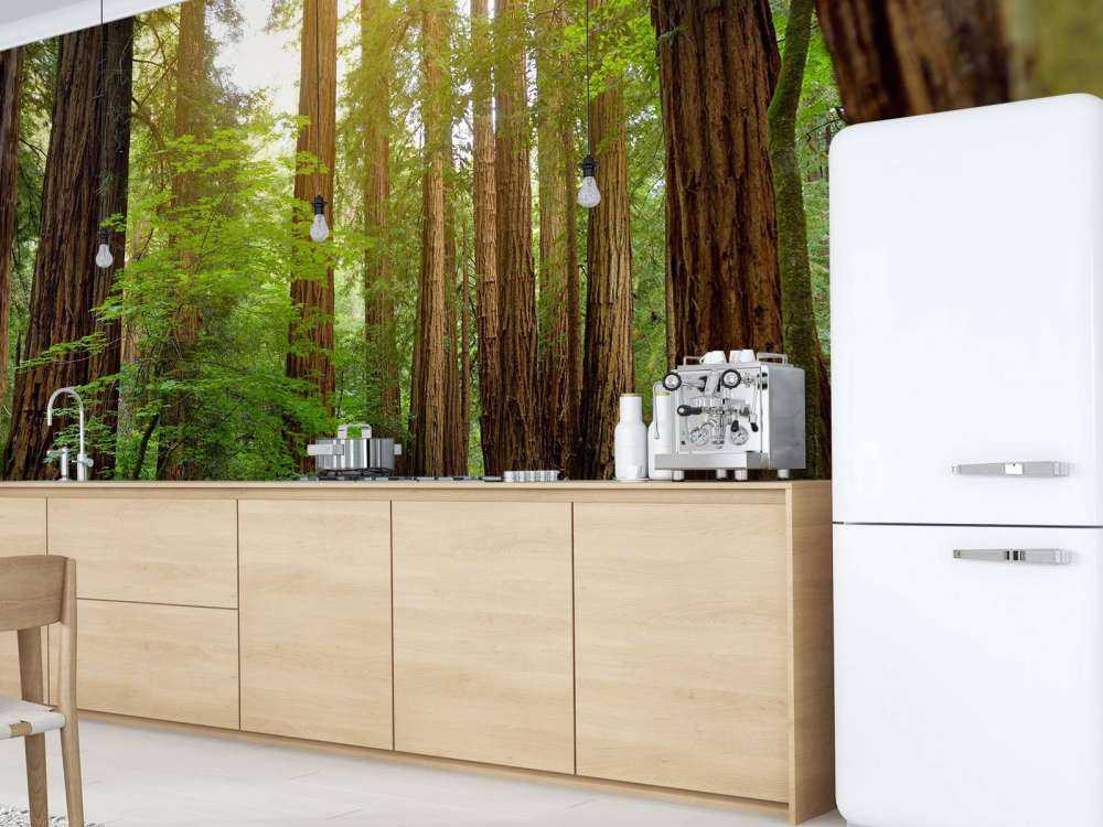 Höga träd parkerar in