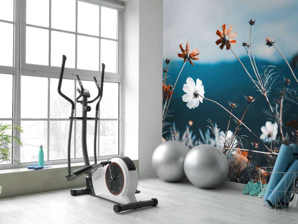 Kosmos blommar i fältet