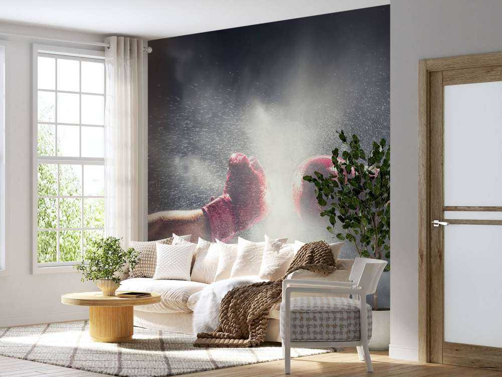 Två boxare