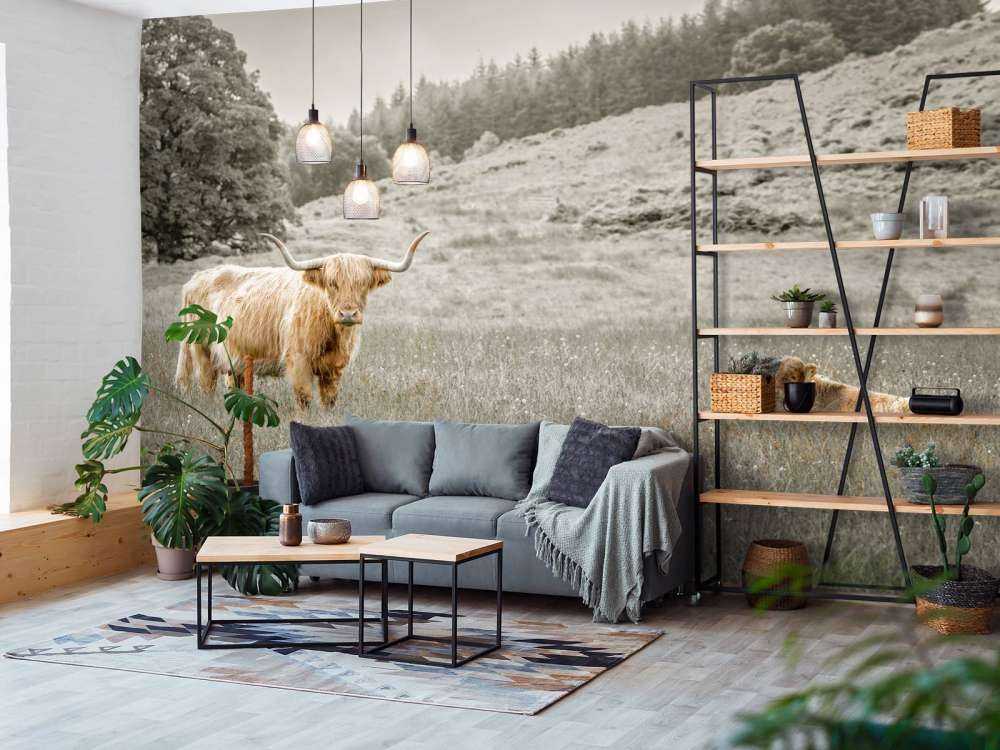 Skotsk highlander med kalv