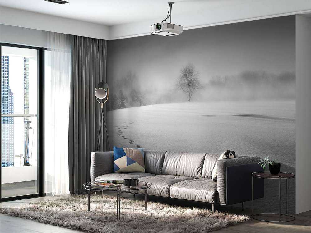 Winter scenery