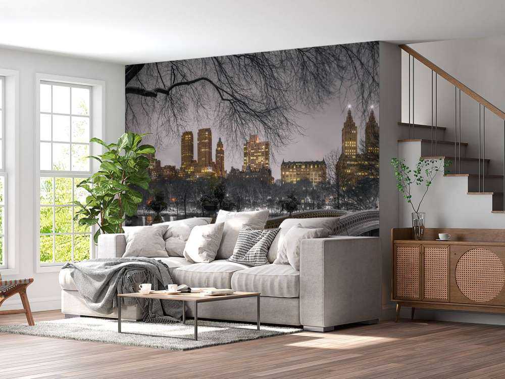 Central park och Manhattan