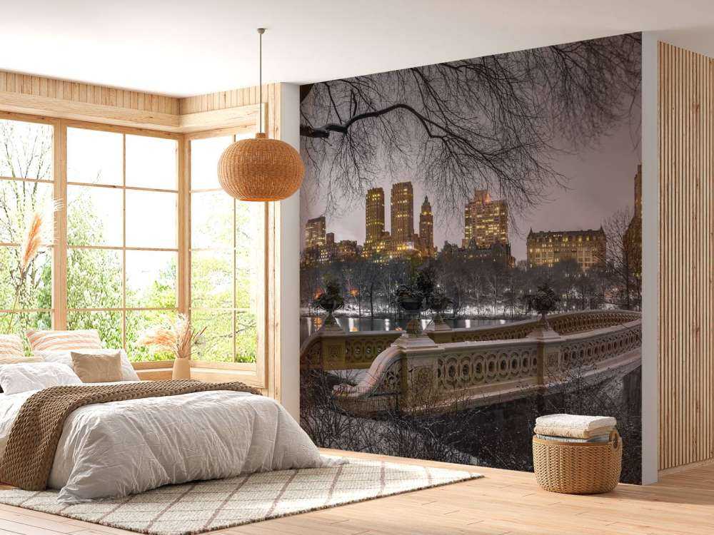 Central park och Manhattan