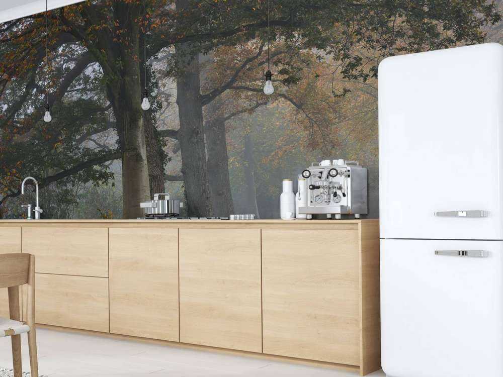 Körfält med träd i dimman