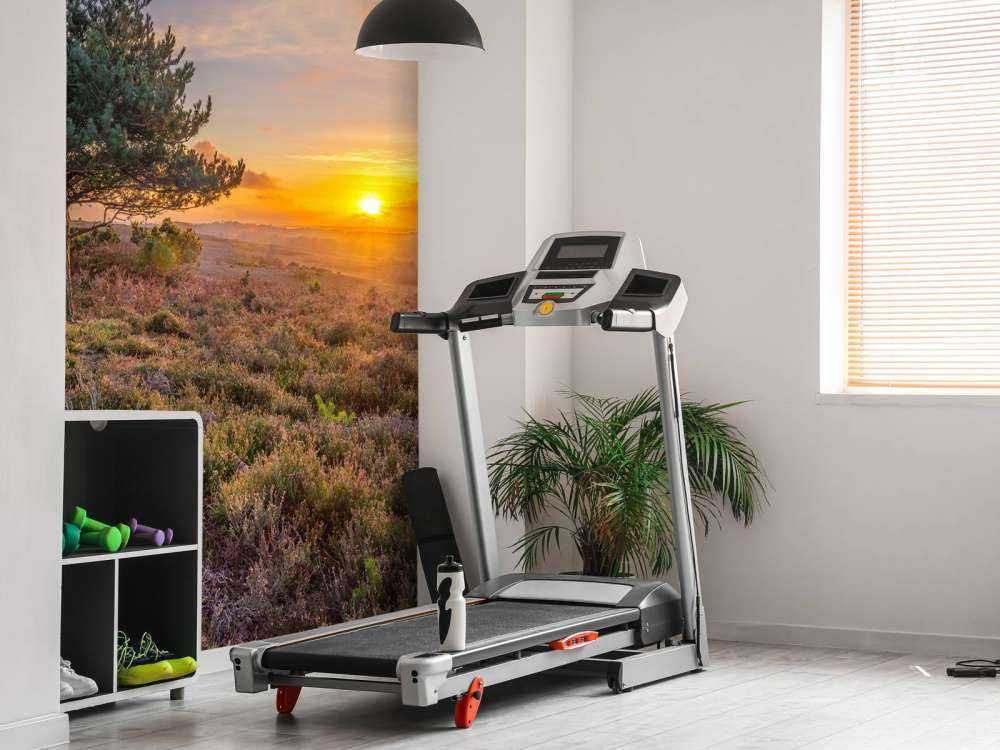 Solnedgång på heden