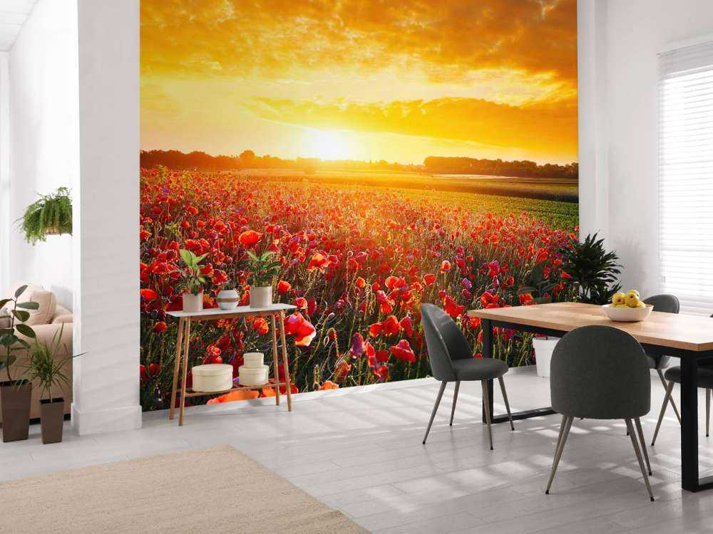 Vallmor och solnedgång