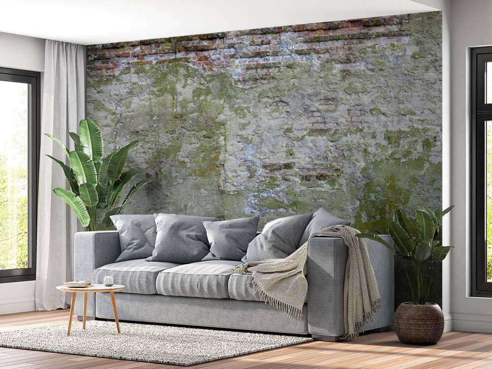 Mossa på gammal vägg