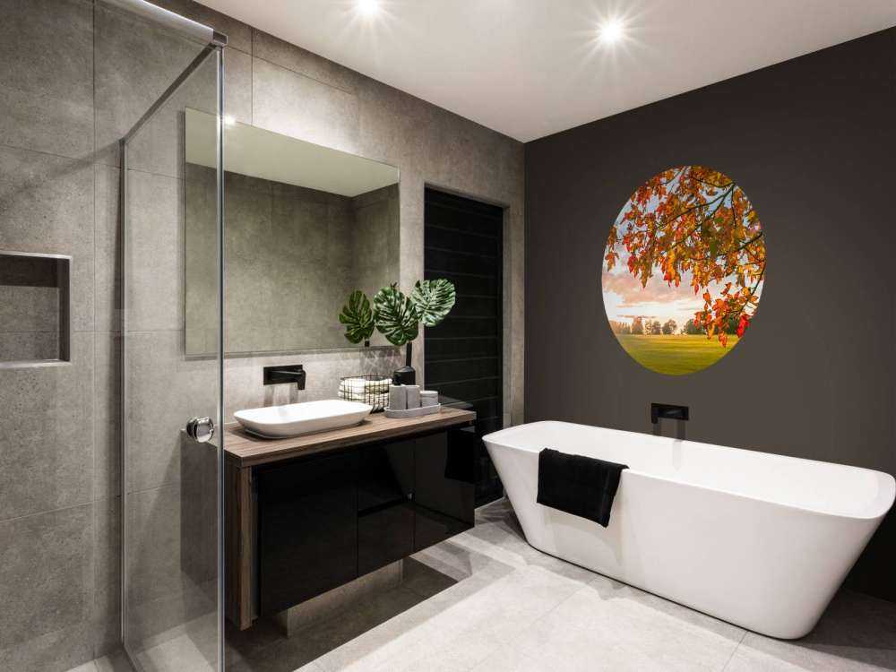 Höstträd i solnedgången