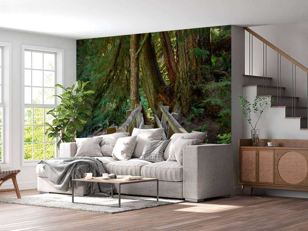 Træbro gennem skoven