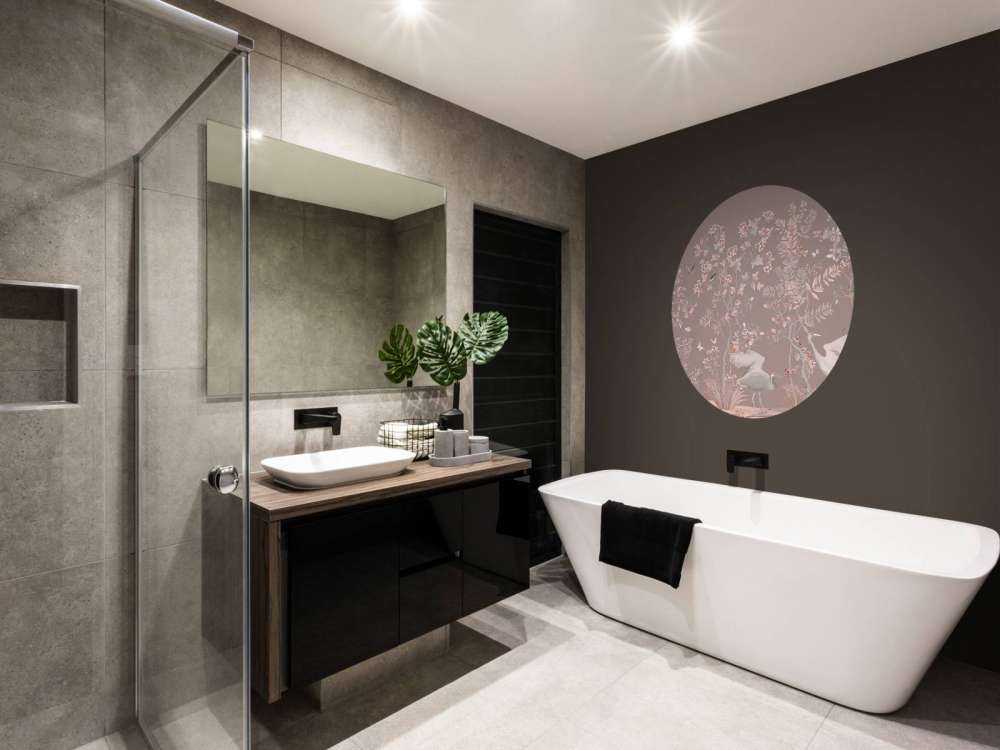 Graceful Storks Have