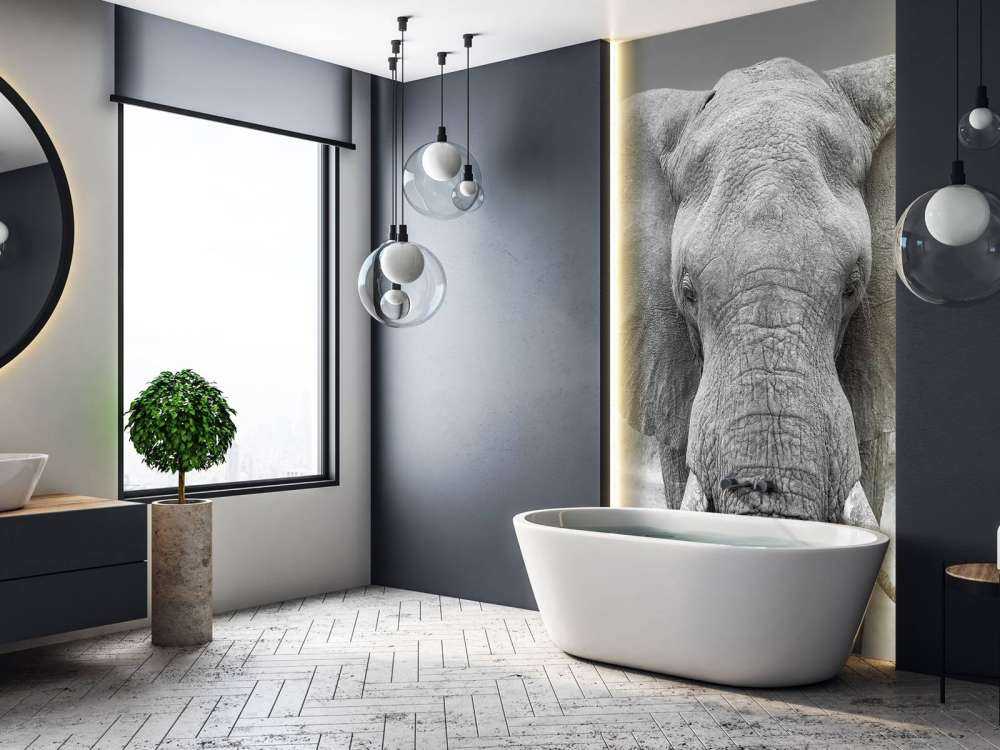 Elefant sort og hvid