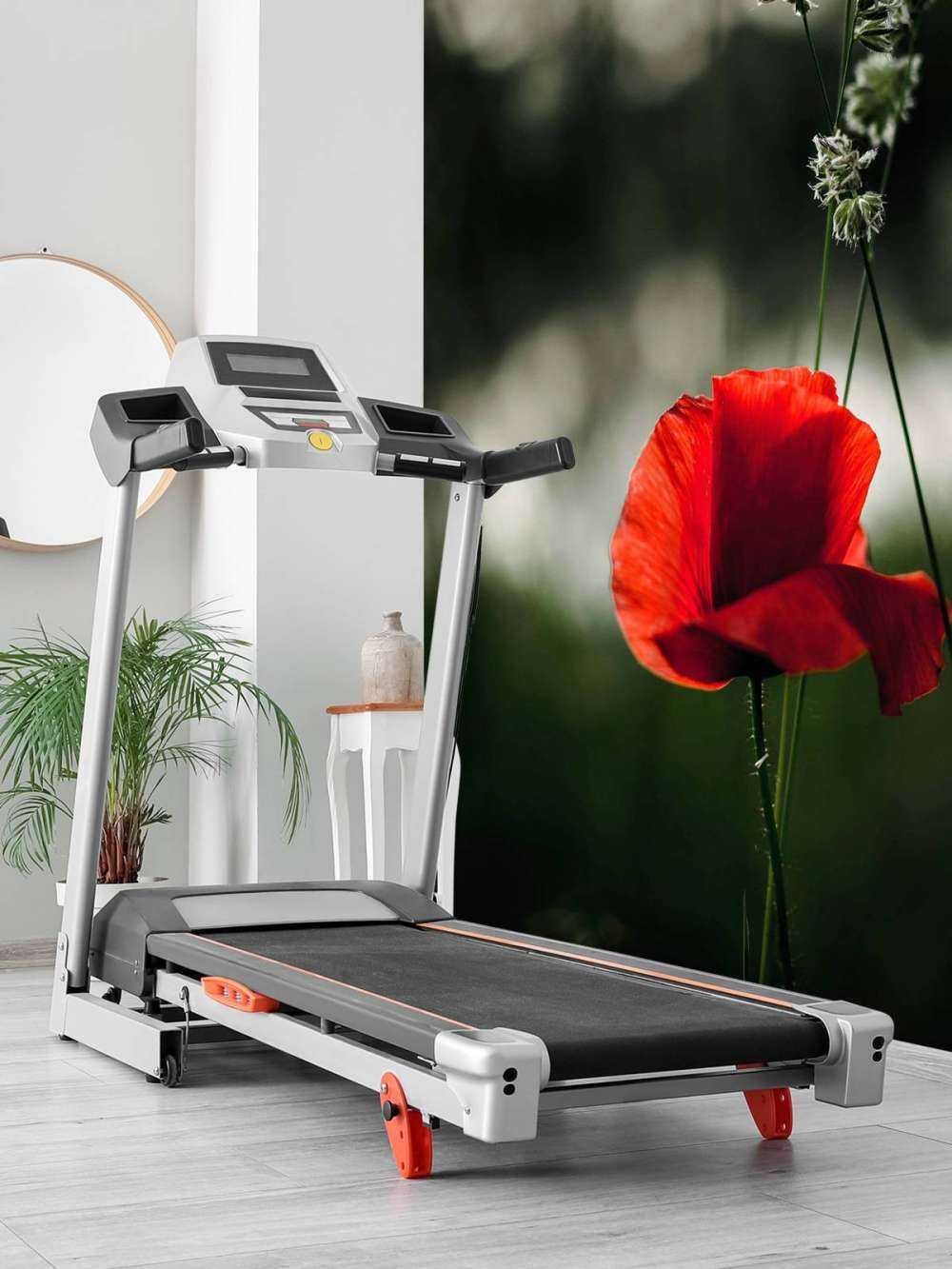 Rød valmue med græs