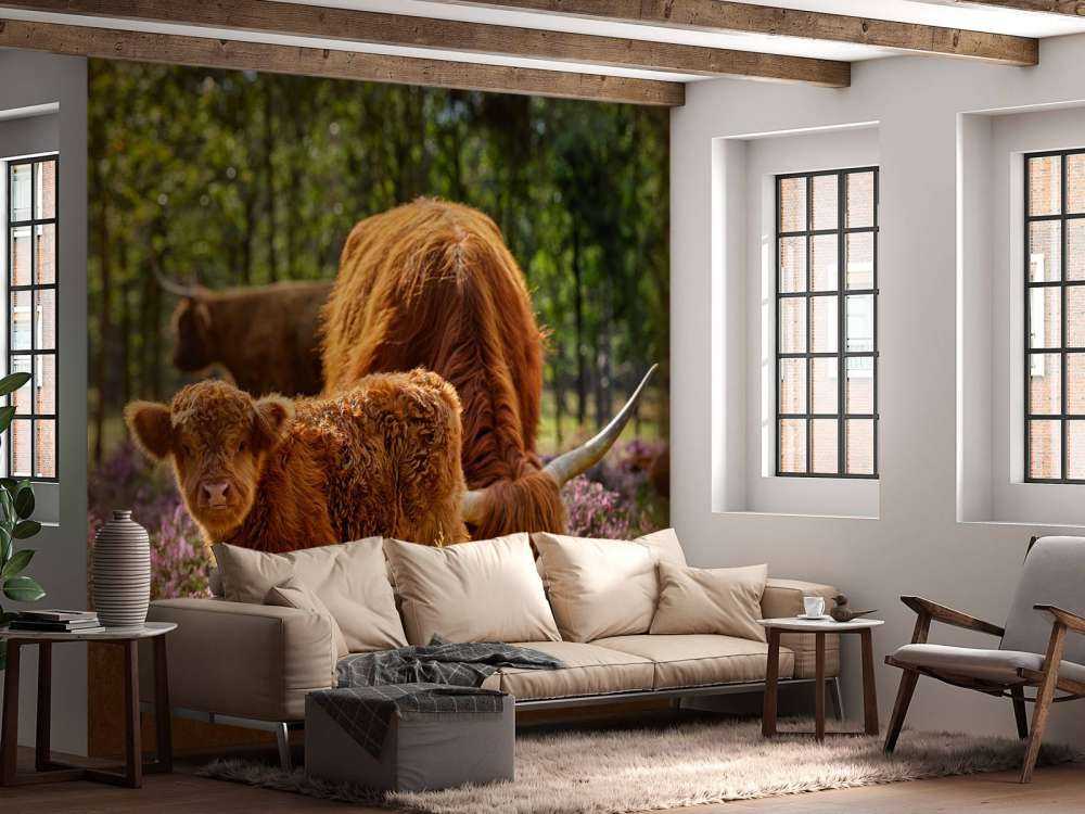 Familie skotske højlandere