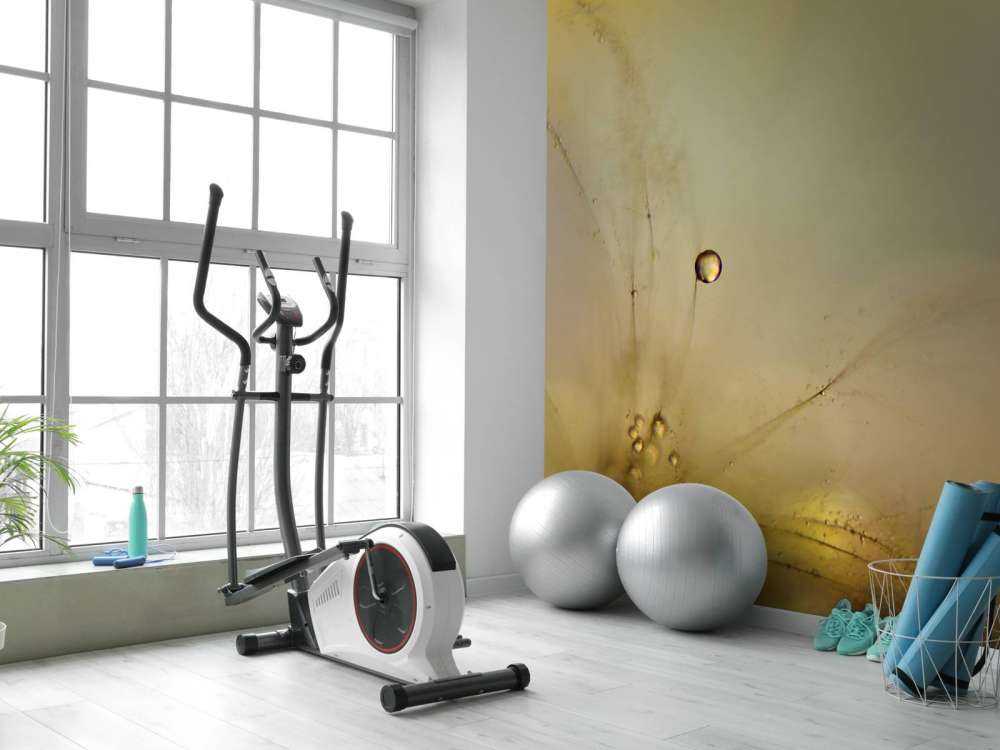 Følelse af en ny dag