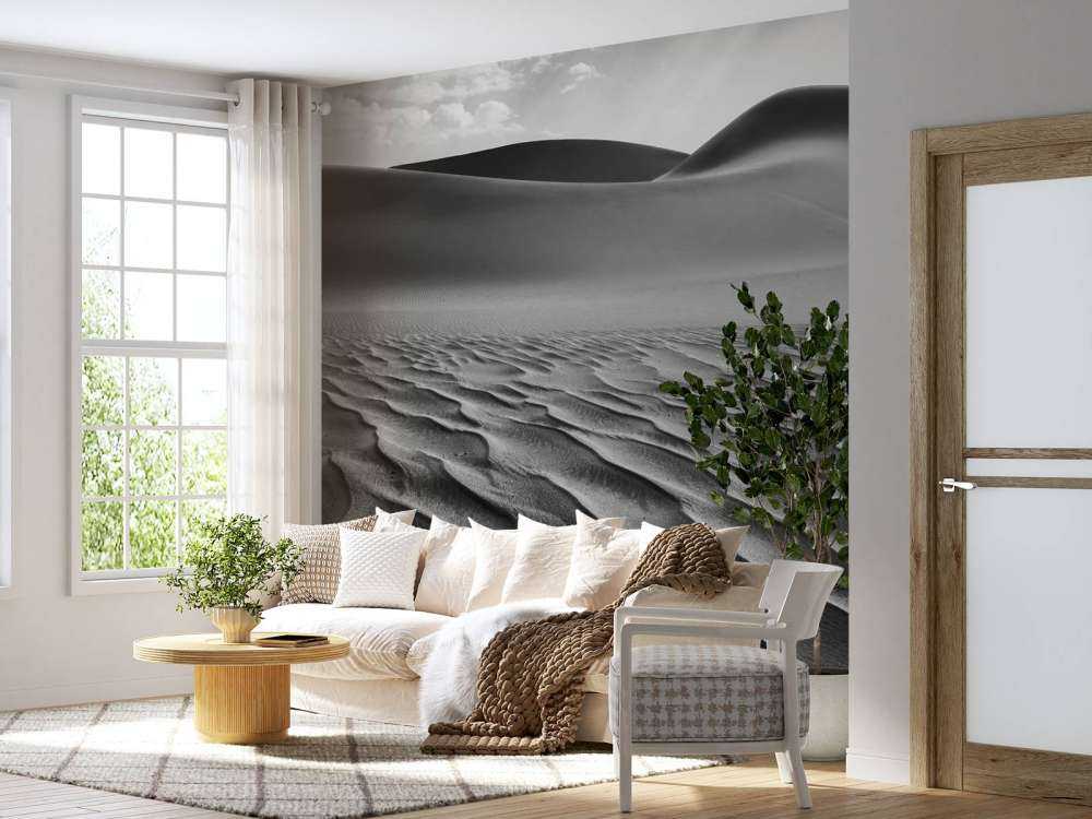 De levende klitter, Namibia I