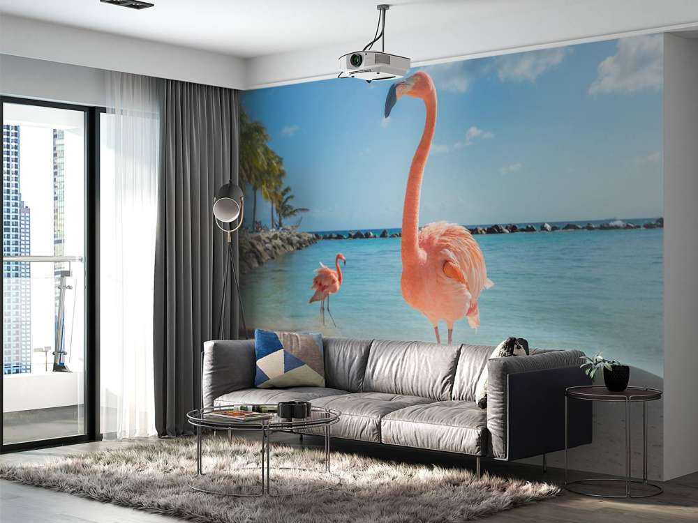 Flamingo på stranden