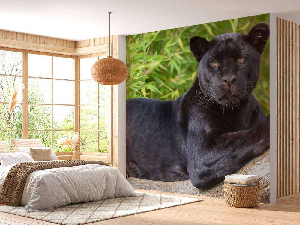 Sort panter på et træ