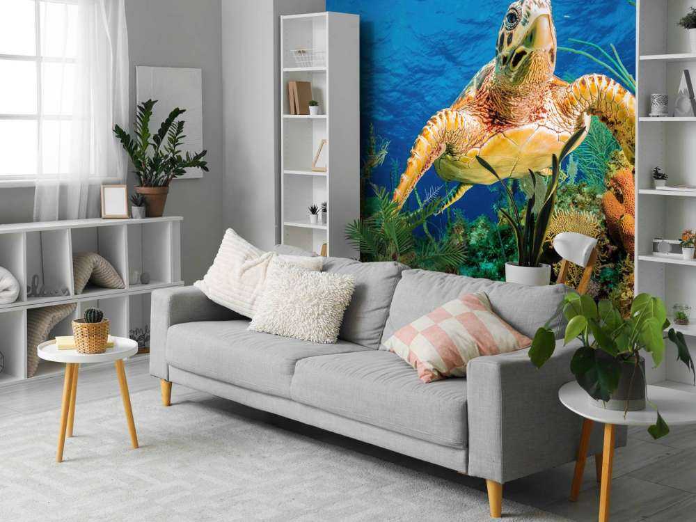 Hawksbill turtle swimming through Caribbean reef