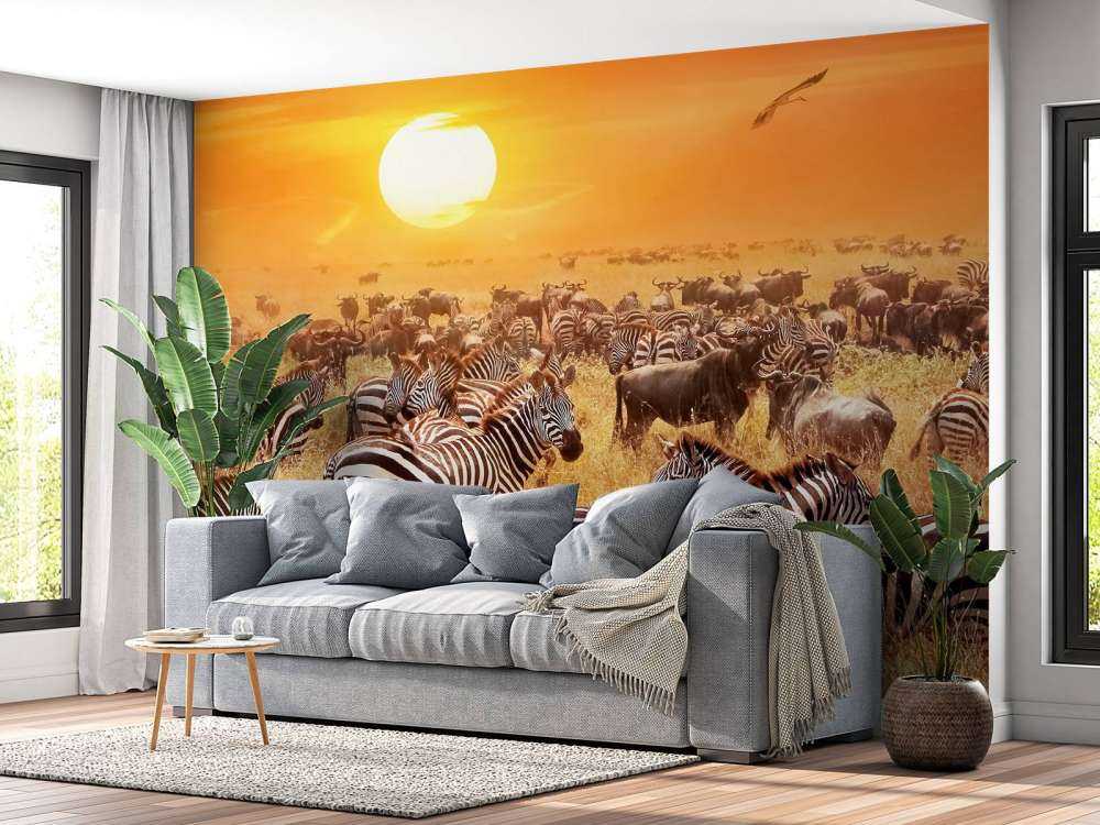 Savanna sol med zebraer