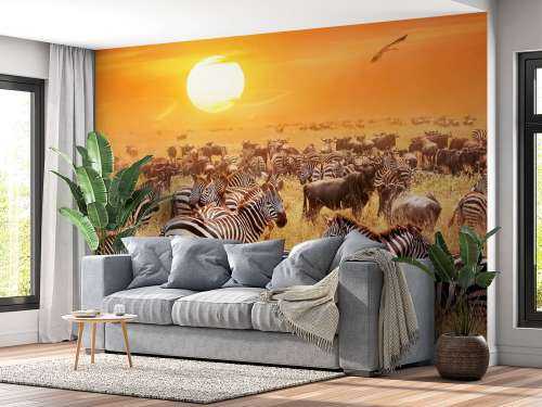 Savanna sol med zebraer