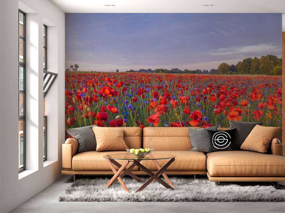 Blå blomster og røde valmuer