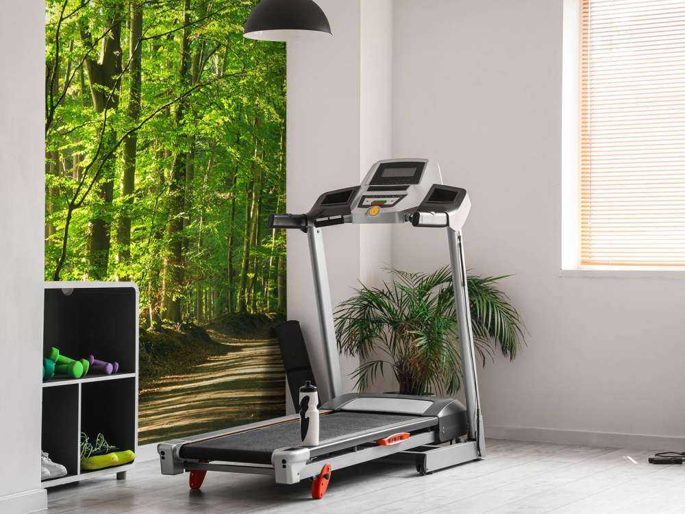 Solrig vej gennem en skov