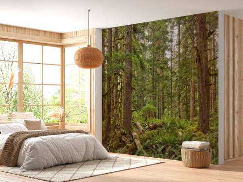 Feral skog