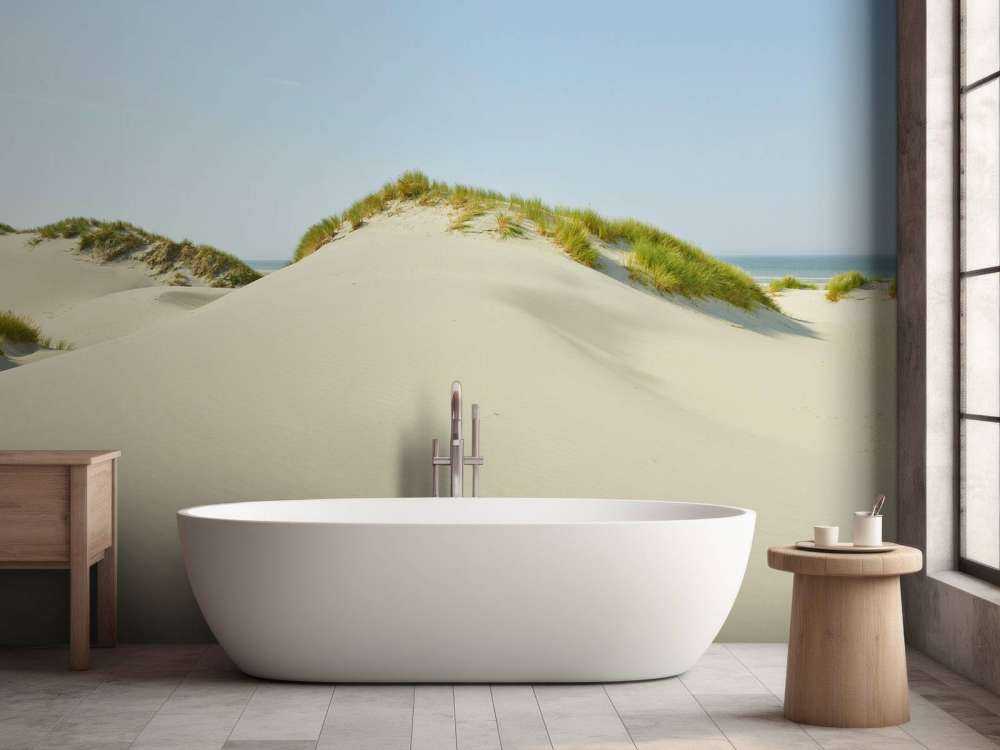 Sanddyrner på stranden