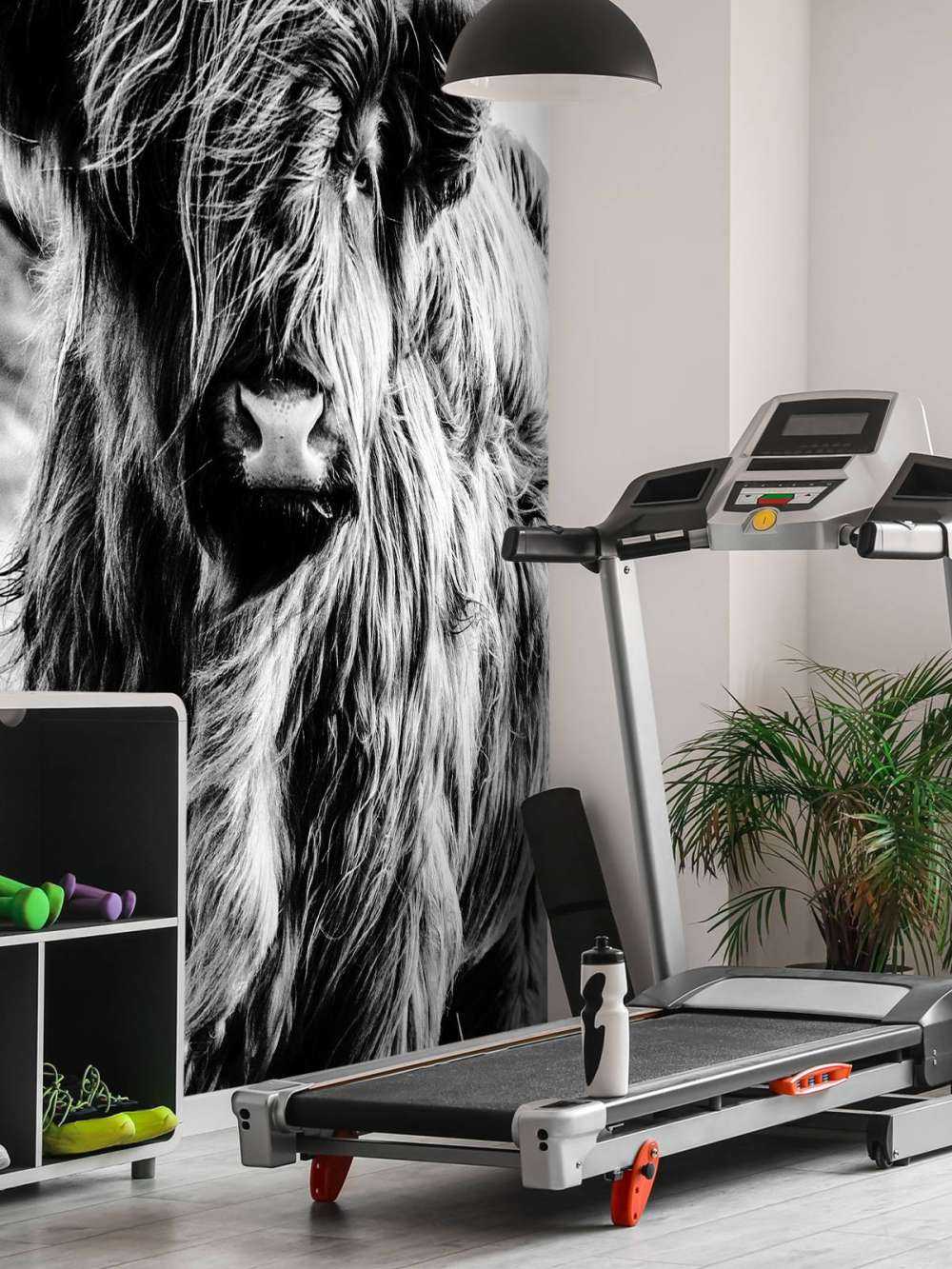 Det skotske høylandet i svart og hvitt