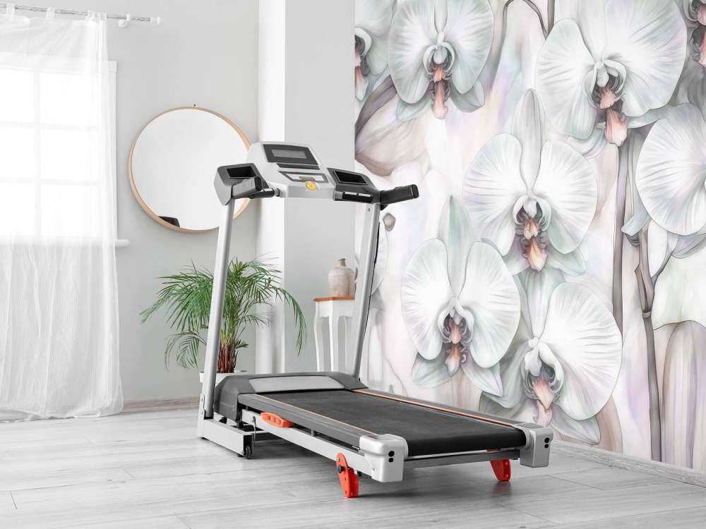 Orkideparadis Mørkegrønn