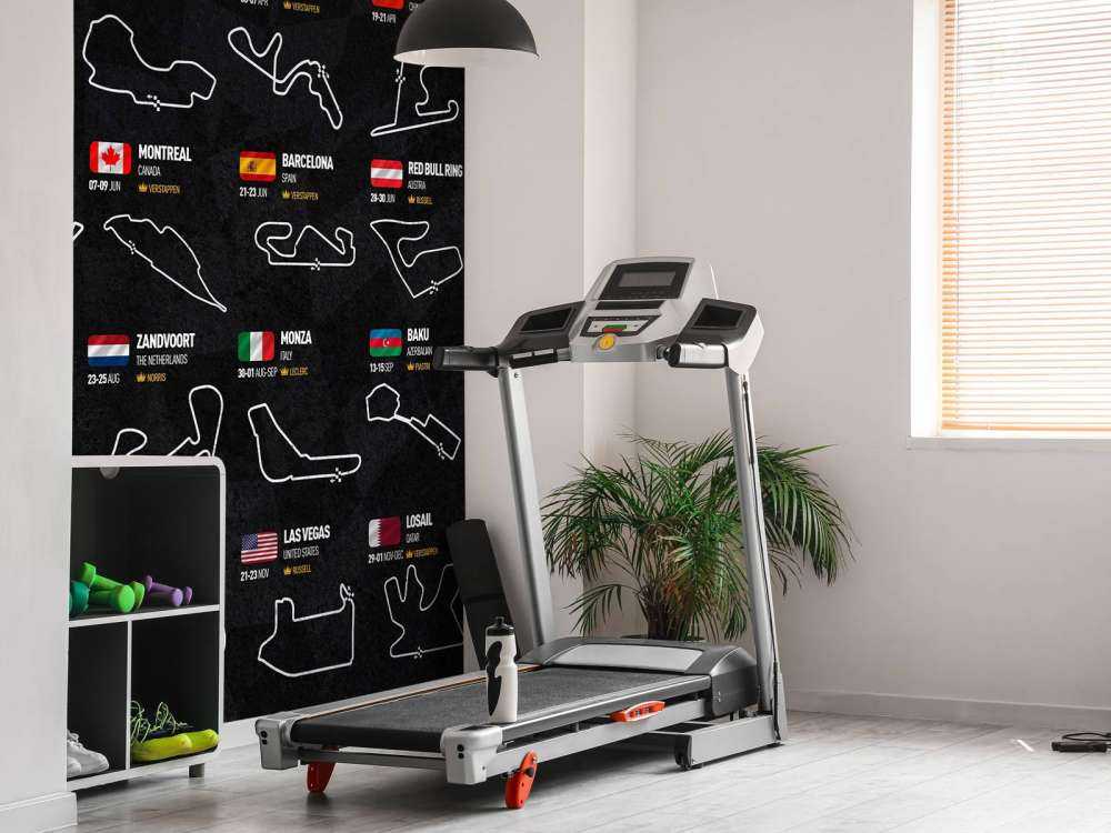 Formel 1 2024 - Vinnerkart