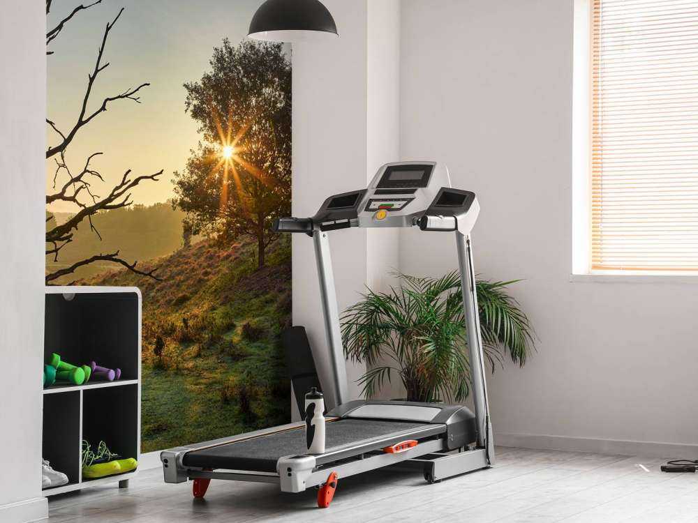 Oppgående sol på heia